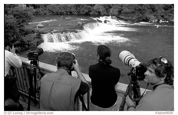 Photographers on observation platform and Brooks falls with bears. Katmai National Park (black and white)