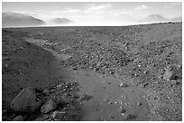 Animal tracks in ash, Valley of Ten Thousand smokes. Katmai National Park, Alaska, USA. (black and white)