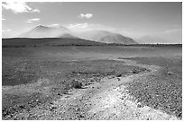 Colorful ash, Valley of Ten Thousand smokes. Katmai National Park, Alaska, USA. (black and white)