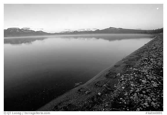 Bear tracks, Naknek lake. Katmai National Park, Alaska, USA.