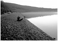 A brown bears plays with a photographer's equipment. Katmai National Park ( black and white)