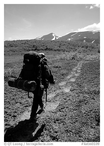 Backpacker follow bear tracks, Valley of Ten Thousand smokes. Katmai National Park, Alaska