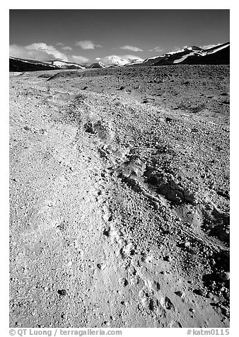 Valley with animal tracks in  ash, Valley of Ten Thousand smokes. Katmai National Park, Alaska, USA.