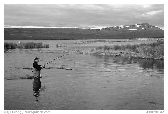 Man fishing for salmon in the Brooks river. Katmai National Park (black and white)