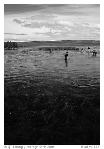 Fishermen in the Brooks river. Katmai National Park, Alaska, USA.