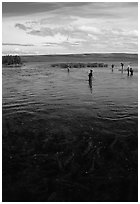 Fishermen in the Brooks river. Katmai National Park, Alaska, USA. (black and white)