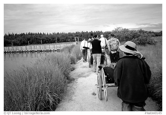 Group heading towards Brooks falls. Katmai National Park (black and white)