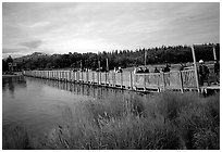 Crossing a bridge on the way to Brooks falls. Katmai National Park ( black and white)