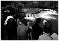 Bear viewing. Katmai National Park, Alaska, USA. (black and white)