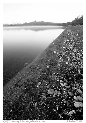 Bear tracks on the shore of Naknek lake. Katmai National Park (black and white)