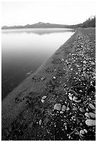 Bear tracks on the shore of Naknek lake. Katmai National Park, Alaska, USA. (black and white)