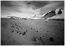 Rare plants growing out of the ash of Valley of Ten Thousand smokes. Katmai National Park, Alaska, USA. (black and white)