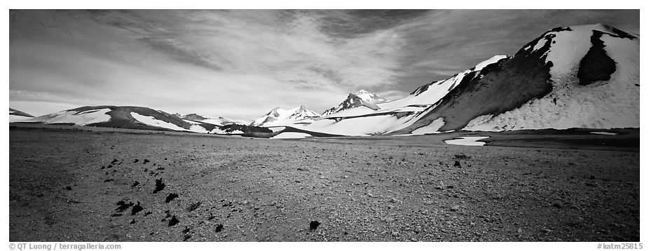 Tiny plants growing on ash floor, Valley of Ten Thousand Smoke. Katmai National Park (black and white)