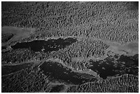 Aerial View of forest and ponds. Katmai National Park ( black and white)