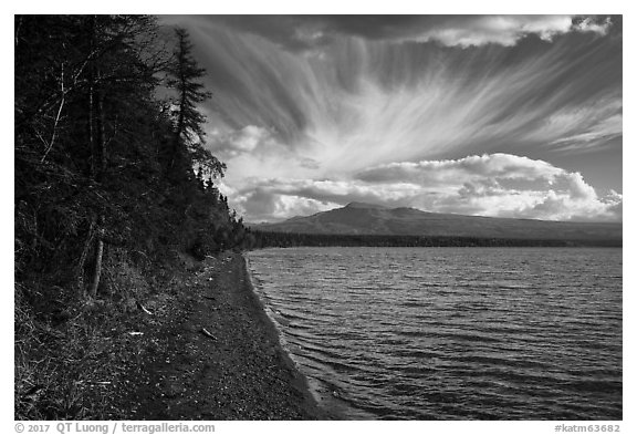 Shore of Lake Brooks. Katmai National Park (black and white)