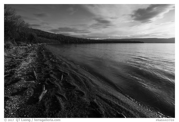 Huge bear footprints on shore of Naknek Lake. Katmai National Park (black and white)