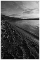 Naknek Lake shore with huge bear footprints. Katmai National Park ( black and white)