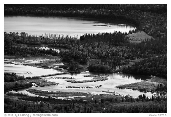 Footbridge over Brooks River from above. Katmai National Park (black and white)
