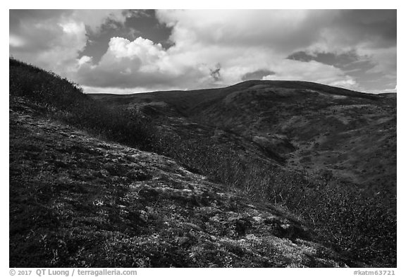 Dumpling Mountain. Katmai National Park (black and white)