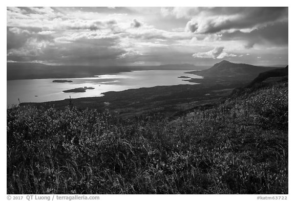 Tundra and shimering Lake Brooks. Katmai National Park (black and white)