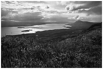 Tundra and shimering Lake Brooks. Katmai National Park ( black and white)