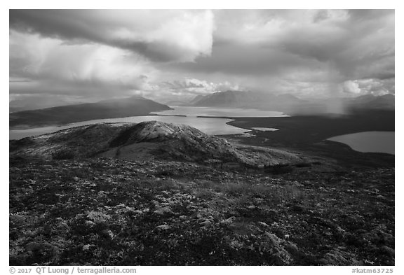 Tundra above lakes and distant rain showers. Katmai National Park (black and white)