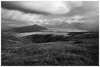 Autum colors on tundra above Naknek Lake. Katmai National Park ( black and white)