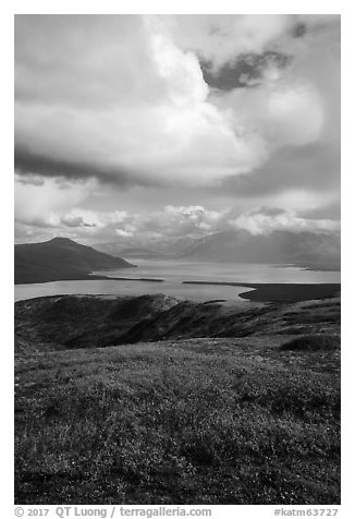 Tundra in fall colors above Naknek Lake. Katmai National Park (black and white)