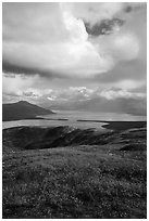 Tundra in fall colors above Naknek Lake. Katmai National Park ( black and white)