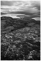 Colorful tundra in the fall above Naknek Lake and Lake Brooks. Katmai National Park ( black and white)