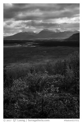 Dappled light over autumn tundra and mountains. Katmai National Park (black and white)