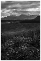 Dappled light over autumn tundra and mountains. Katmai National Park ( black and white)