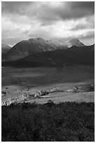 Lethe gorge, Valley of Ten Thousand Smokes, and mountains. Katmai National Park ( black and white)