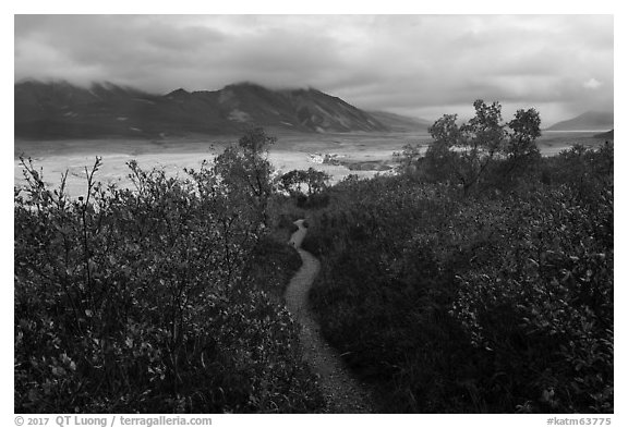 Trail to Valley of Ten Thousand Smokes. Katmai National Park (black and white)
