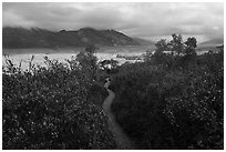 Trail to Valley of Ten Thousand Smokes. Katmai National Park ( black and white)