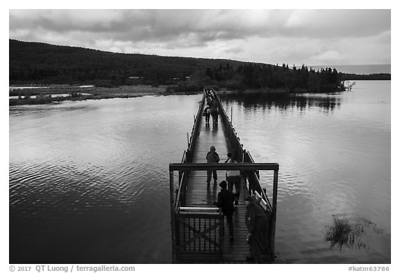 Ranger holds door open as visitors cross footbrige over Brooks River. Katmai National Park (black and white)