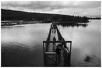 Ranger holds door open as visitors cross footbrige over Brooks River. Katmai National Park ( black and white)