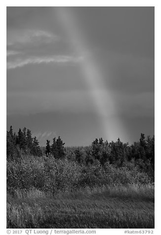 Rainbow over autumn grasses and trees. Katmai National Park (black and white)
