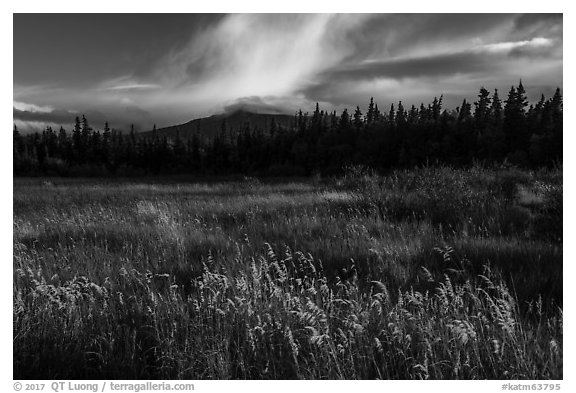 Grasses and mountain in autumn. Katmai National Park (black and white)