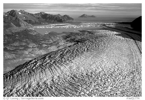 Aerial view of Bear Glacier. Kenai Fjords National Park (black and white)