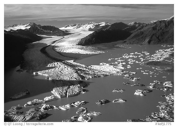 Aerial view of the front of Bear Glacier. Kenai Fjords National Park (black and white)
