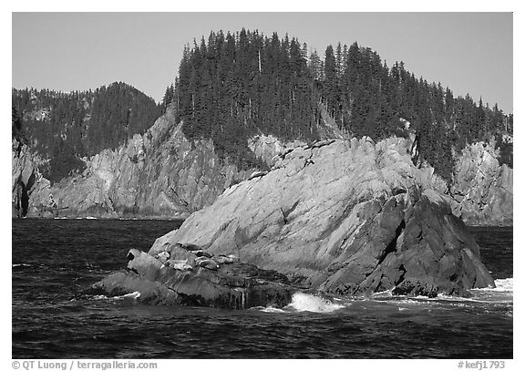 Sea lions on rock in Aialik Bay. Kenai Fjords National Park, Alaska, USA.