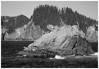 Sea lions on rock in Aialik Bay. Kenai Fjords National Park, Alaska, USA. (black and white)