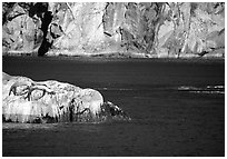 Rock with sea lions in Aialik Bay. Kenai Fjords National Park ( black and white)