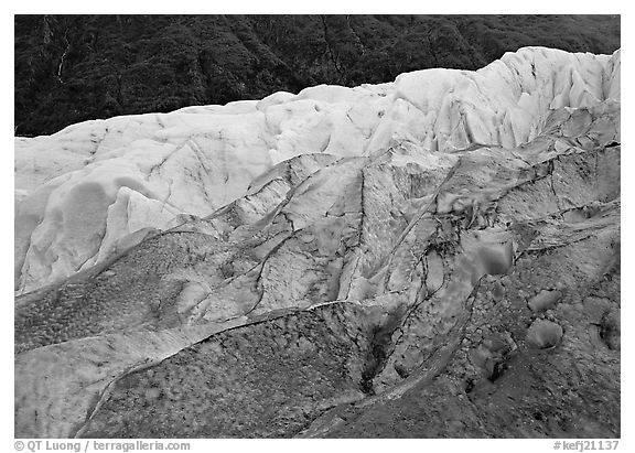 Grey ice, blue ice, Exit Glacier and forest. Kenai Fjords National Park, Alaska, USA.