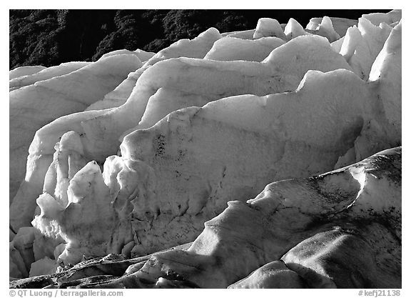 Exit Glacier. Kenai Fjords  National Park (black and white)