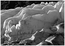 Exit Glacier. Kenai Fjords National Park ( black and white)