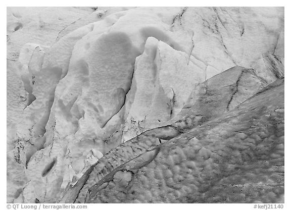Grey and blue ice detail at the terminus of Exit Glacier. Kenai Fjords National Park (black and white)