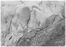 Grey and blue ice detail at the terminus of Exit Glacier. Kenai Fjords  National Park ( black and white)