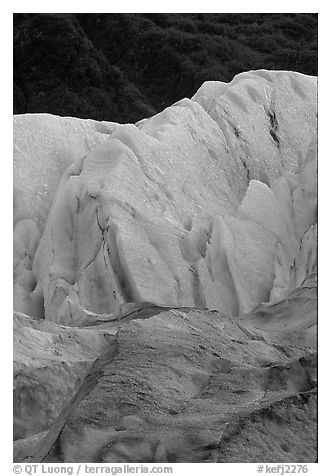 Exit Glacier and forest. Kenai Fjords National Park (black and white)